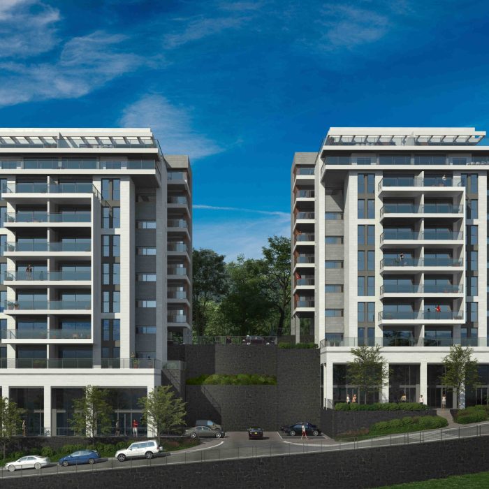 הדמיה גולדה 1