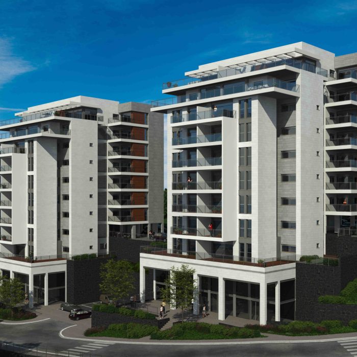 הדמיה גולדה 14