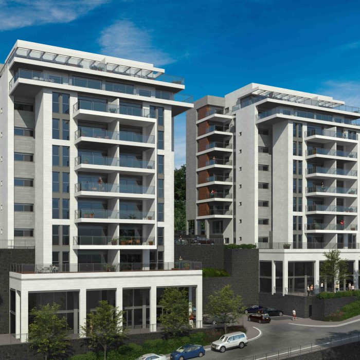 הדמיה גולדה 2