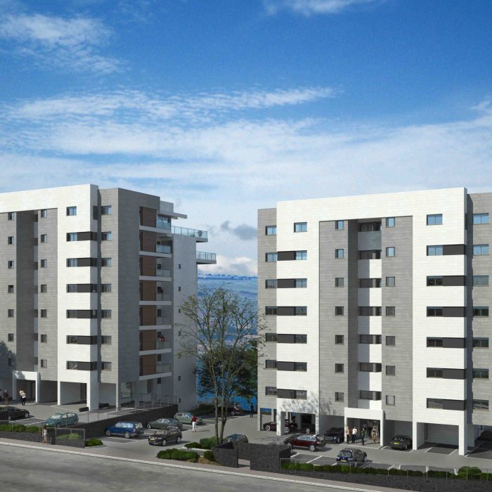 הדמיה גולדה 3