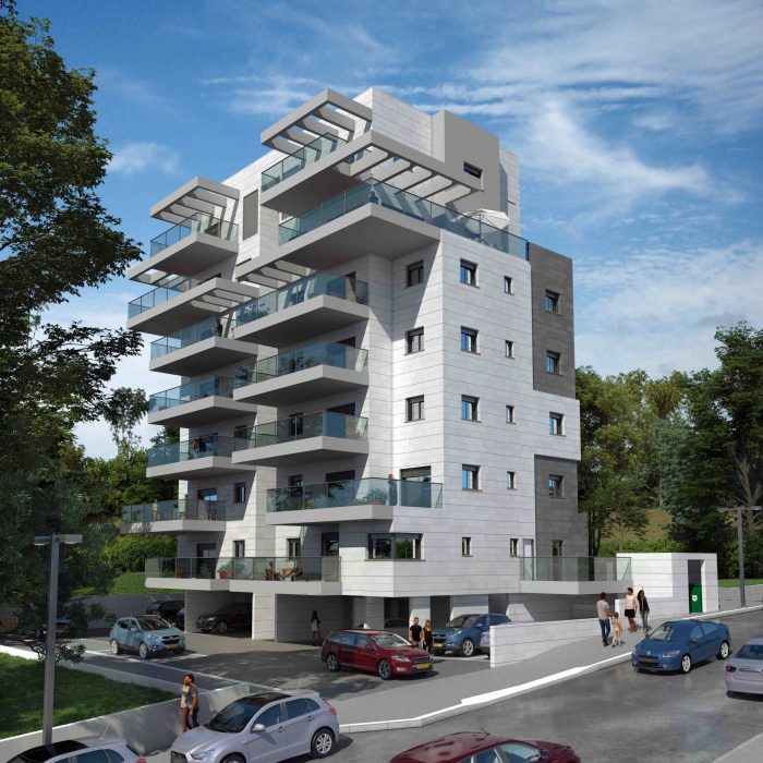 הדמיה דוד המלך 0