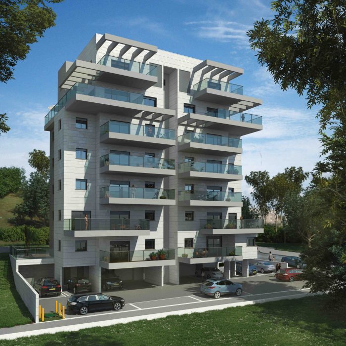 הדמיה דוד המלך 1