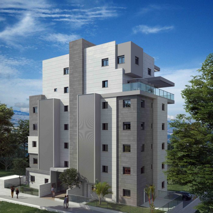 הדמיה דוד המלך 2