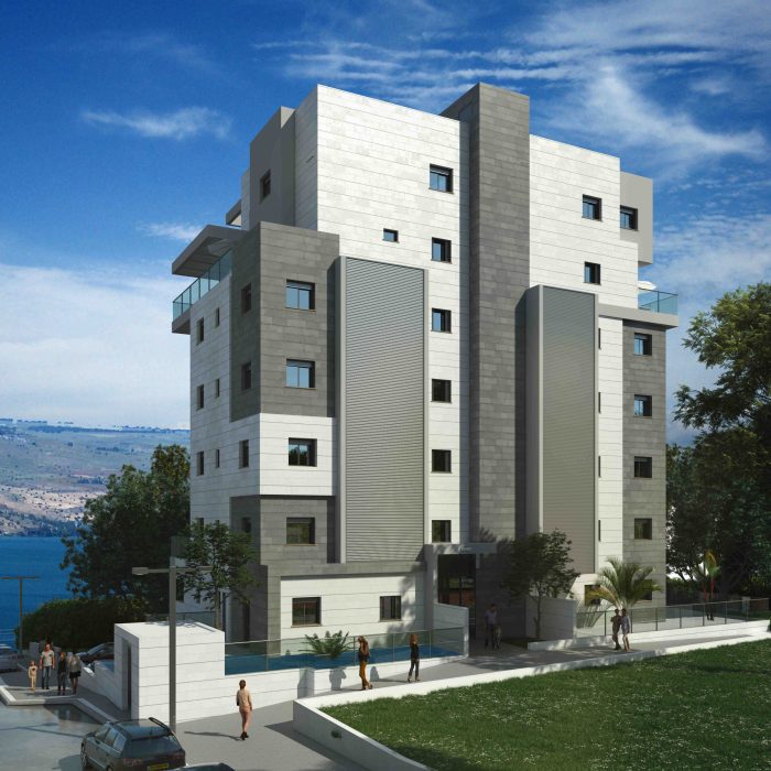 הדמיה דוד המלך 3