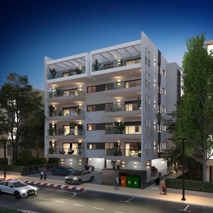 הדמיה חשמונאים 0