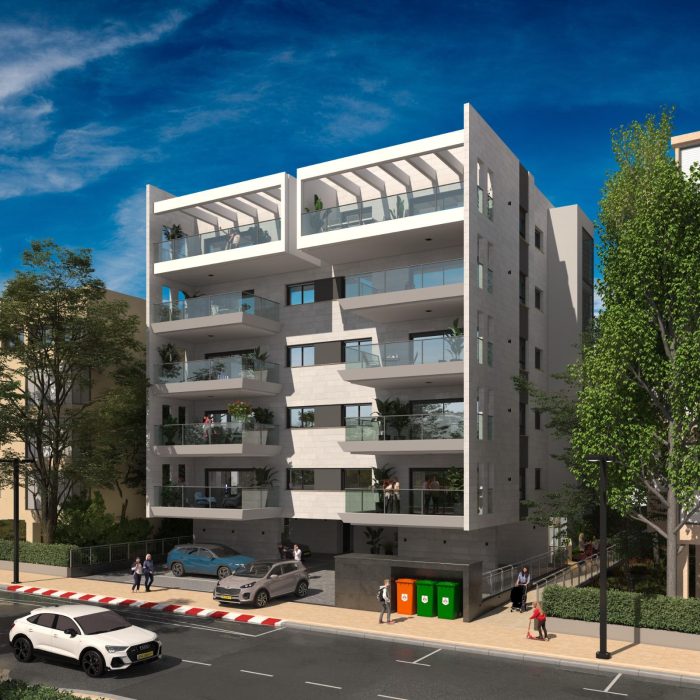 הדמיה חשמונאים 1