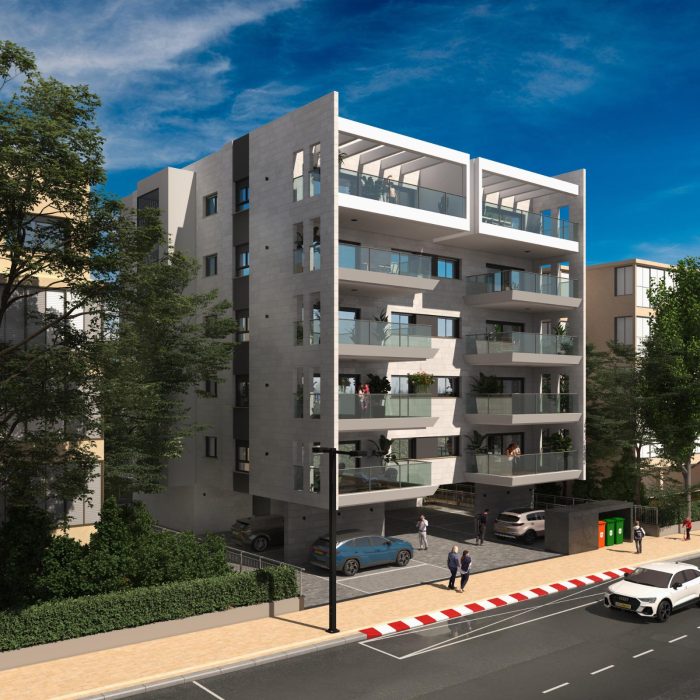 הדמיה חשמונאים 2