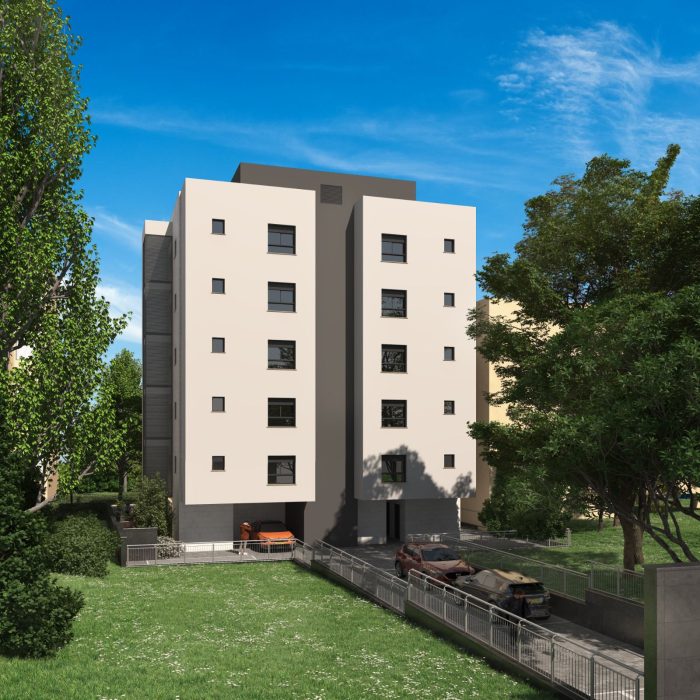 הדמיה חשמונאים 8