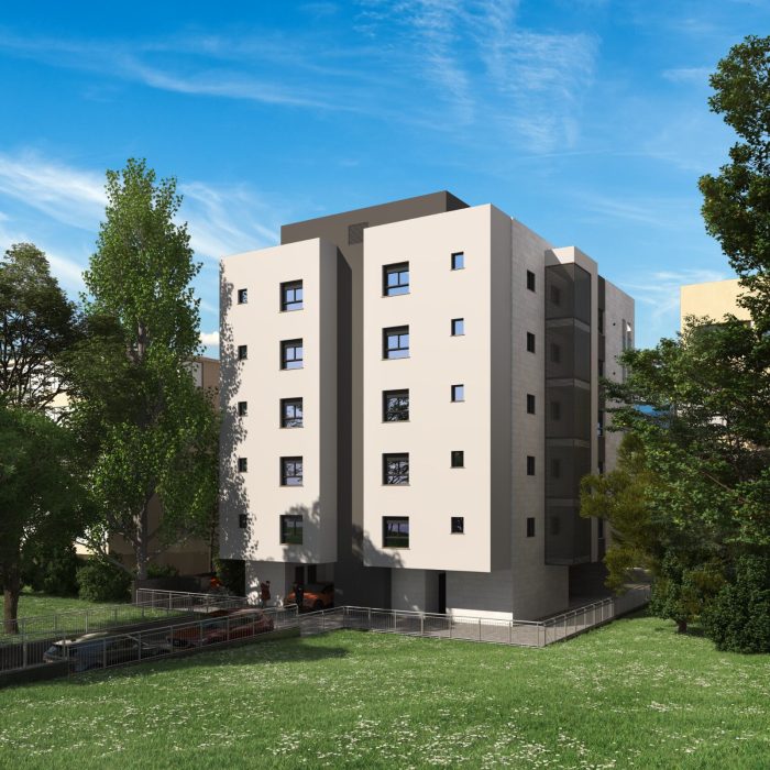 הדמיה חשמונאים 9